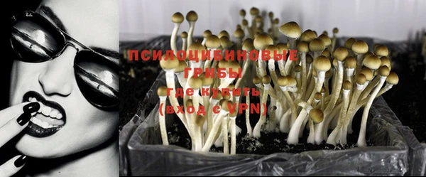 ECSTASY Майский