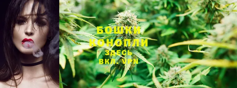 где продают наркотики  Комсомольск  даркнет какой сайт  Шишки марихуана White Widow 